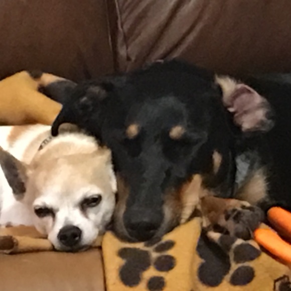 Meet your Posher, Tina - Picture 9 of 16